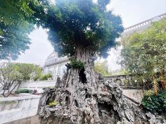 -荔湾博物馆