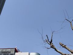 -上海第一八佰伴