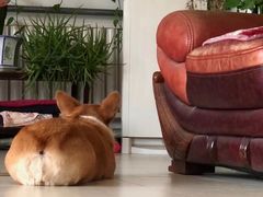 -自贡盐帮菜·玩辣餐厅(樱花园西街店)