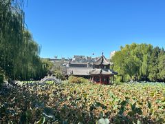 -莲池书院博物馆