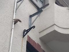 -愚谷邨