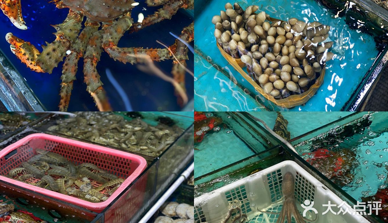🔥海鲜必吃榜——鲜达摩