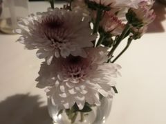 -伊斯坦布尔土耳其清真咖啡餐厅