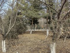 -长春市南湖公园