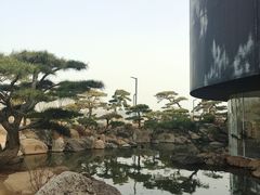 -罗红摄影艺术馆