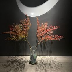 -美壹生皮肤管理中心
