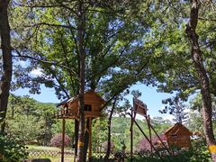 -北京西山国家森林公园