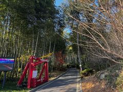 -冶父山国家森林公园