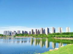 -丁香湖公园