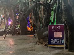 -横店影视城梦幻谷园区