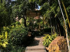 -晓港公园
