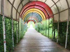 -西部长青自然儿童乐园