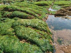 -青岛第三海水浴场