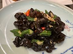 -芙蓉凰花园酒楼