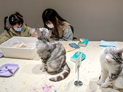 -怪兽屋·羊驼·猫咖·狗咖(俊华广场店)