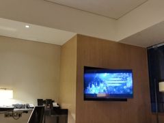 -成都尼依格罗酒店