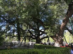 -宗角禄康公园