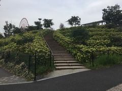-台场海滨公园船码头