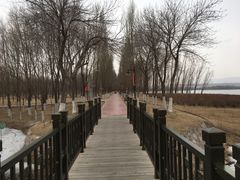 -香山公园
