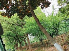 -敬亭山风景名胜区