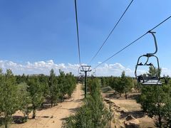 -银肯塔拉沙漠生态旅游景区