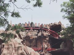 -朝阳公园游乐园