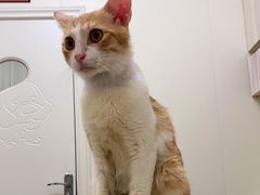 -瑞派康怡24h宠物医院·犬猫医疗中心·微创绝育(瑞景分院)