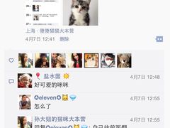 iphone_upload_pic-Bastet sally猫舍购宠(静安店)