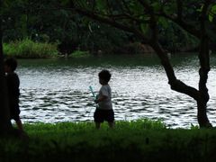 -海珠湖公园