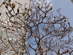 -首都医科大学附属北京潞河医院