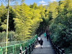 -树山生态村
