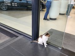 -上海宝诚中环BMW·MINI4S店