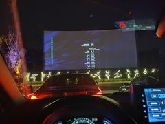 -枫花园汽车电影院(朝阳公园店)