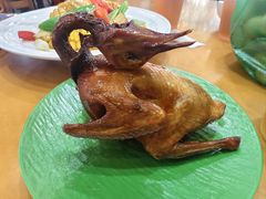 红烧乳鸽-煲煲掂风味煲仔饭餐厅(西区店)