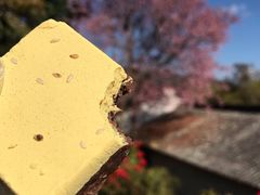 蔺大妈松花糕-蔺大妈松花糕