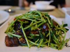 藜蒿炒腊肉-南昌绿地铂瑞酒店·臻萃轩中餐厅