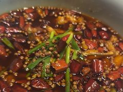 -沸腾鱼乡(知春路分店)