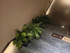-雪霁山庄·合肥地标老字号