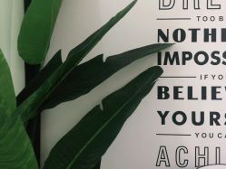 -杨丹国际美学肌研所