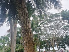 -深圳湾公园(南山区)