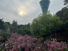 -狐尾山公园