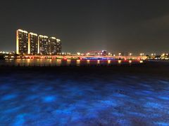 -五缘湾湿地公园