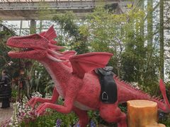 -沈阳植物园