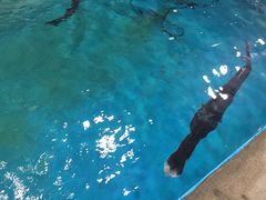 -顺德美食坊(南沙分店)