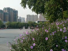 英雄广场-英雄广场