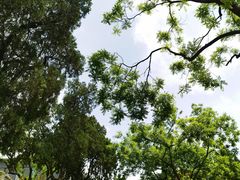 -保定直隶总督署博物馆
