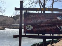 -沈阳森林动物园