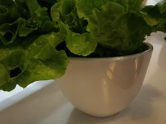 生菜叶-韩时烤肉(枫蓝店)