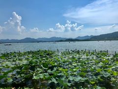 -湖畔居茶楼(湖滨店)