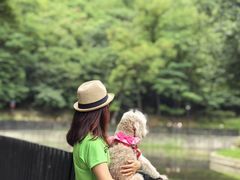 -白水寺森林公园